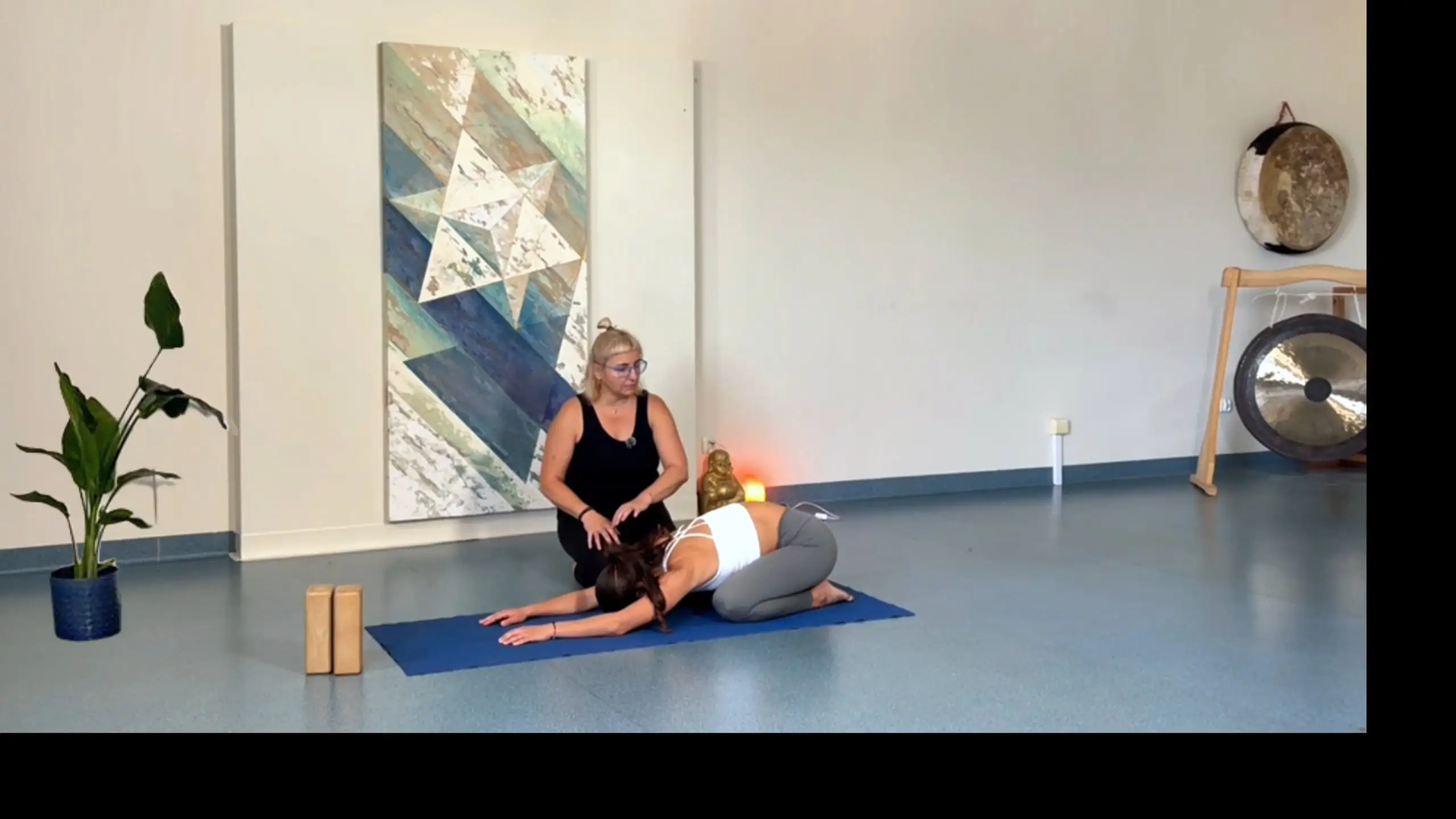 Pies z głową w dół – 15 minut dla ciała i spokoju