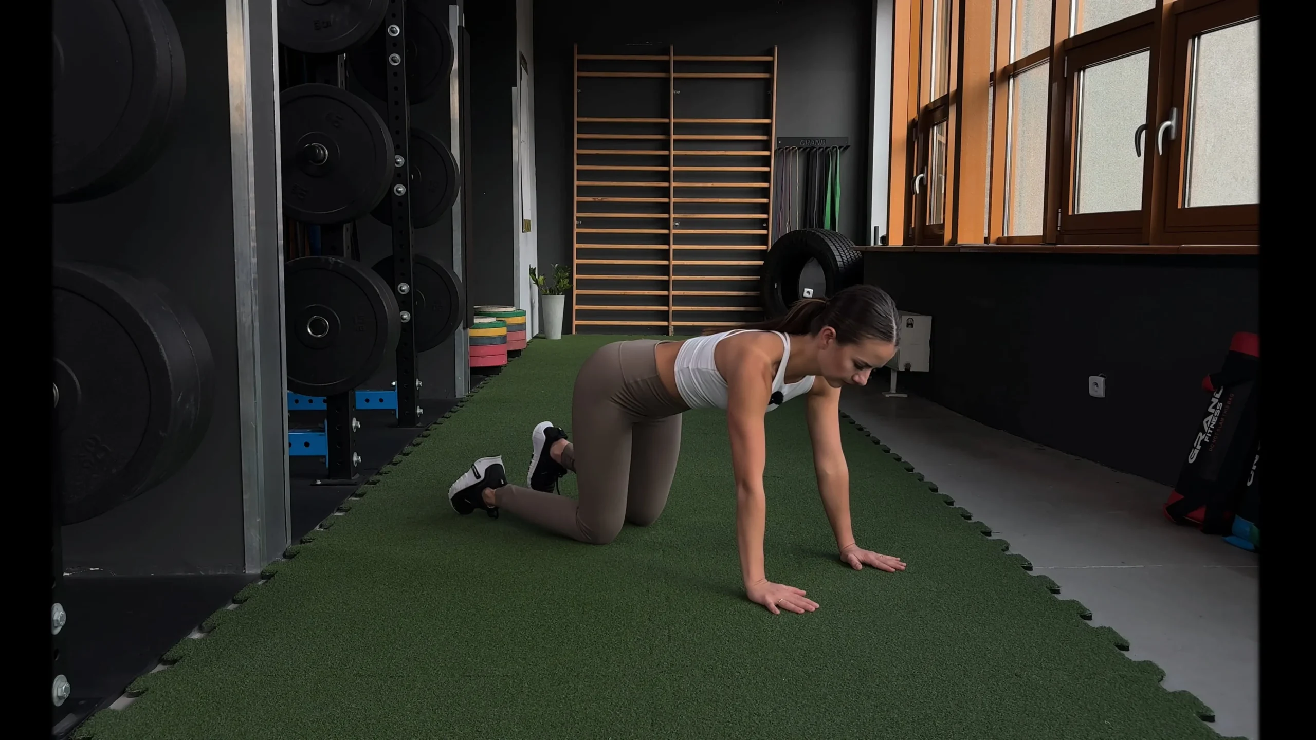 High plank arm reach